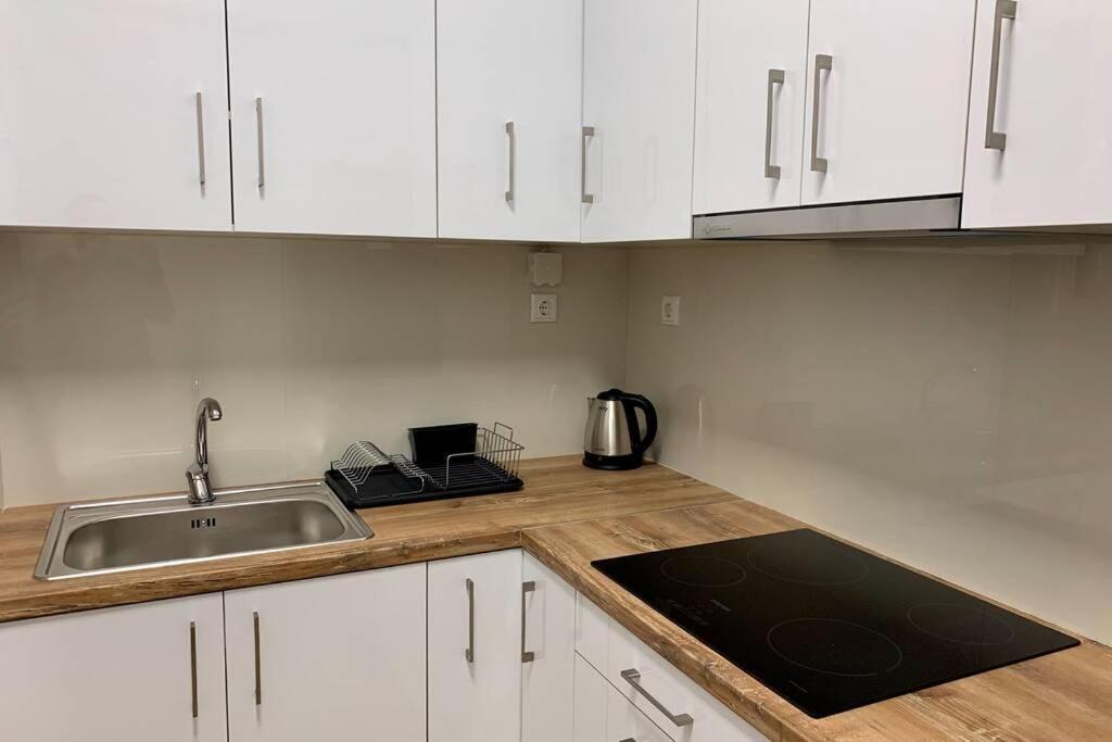 Kallimarmaro 2-Bedroom Apartment Атина Екстериор снимка